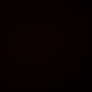 Meet your Posher, Selena